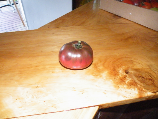 Unknown, but Great Tomato