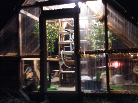 Greenhouse at Night